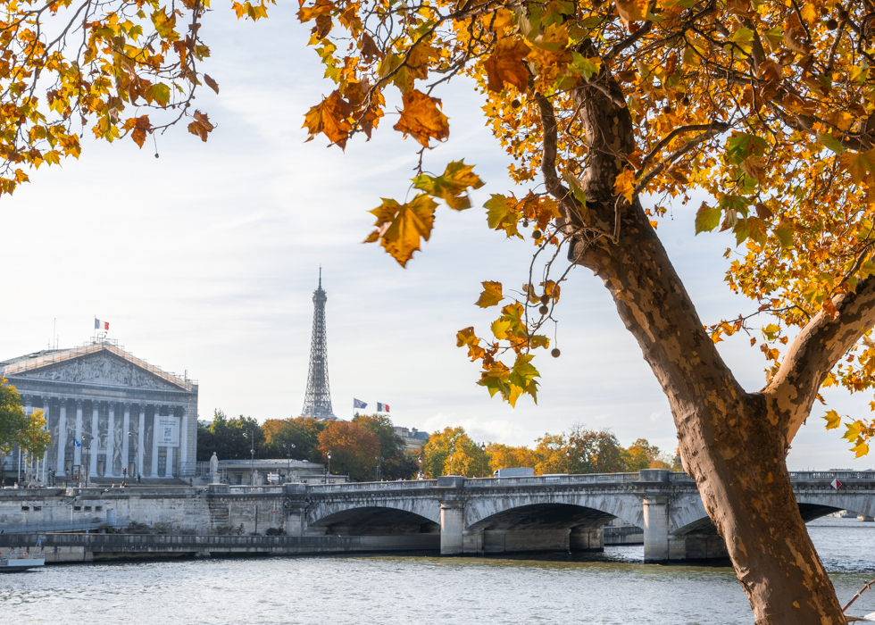 秋のパリ | O'Bon Paris | Easy to be Parisian